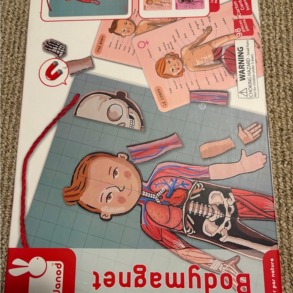 Janod Body Magnet Educational Toy